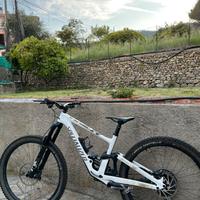 Specialized enduro expert 2021