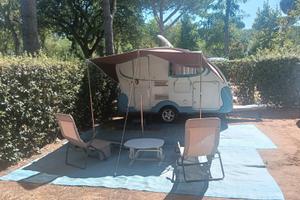 PERMUTO Adria action 341 ph