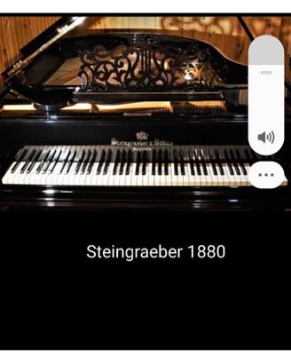 Pianoforte Steingraeber