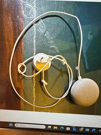 Google Home mini