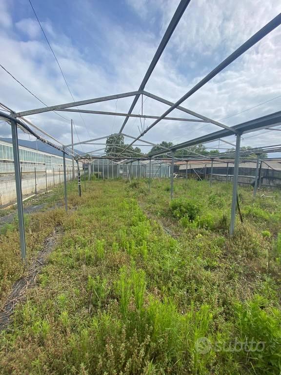 Terreno di 1800 m² a Albenga - Vista 3