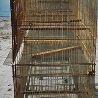 Gabbie per uccelli