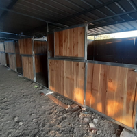 Box per cavalli