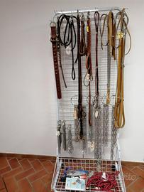 collari e guinzagli per cani