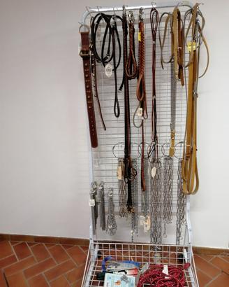 collari e guinzagli per cani