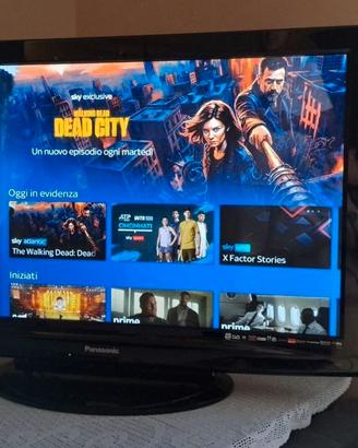 TV Panasonic Nera plasma manuals