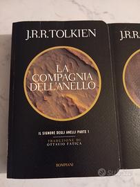 Il signore degli anelli 
