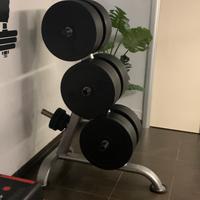 rastrelliera e dischi bumber