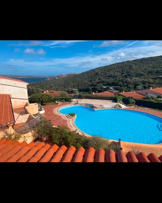 Palau Sardegna trilocale piscina vacanze