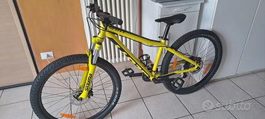 bicicletta