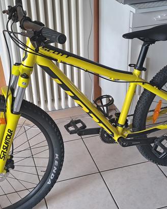 bicicletta