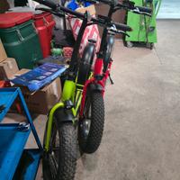 Bicicletta elettrica 