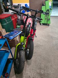 Bicicletta elettrica 