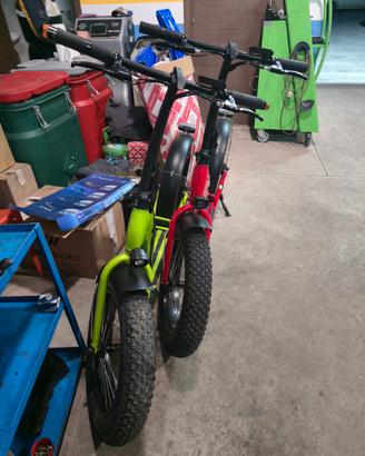 Bicicletta elettrica 