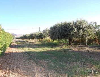 Terreno Residenziale Roseto degli Abruzzi