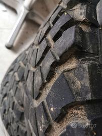 Gomme Terios