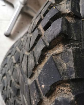 Gomme Terios