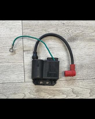 bobina €0 ducati 5 poli am6/derbi