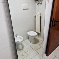 specchio con lampadine 60x160