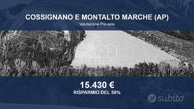Immobile in asta di 29510 m² a Cossignano
