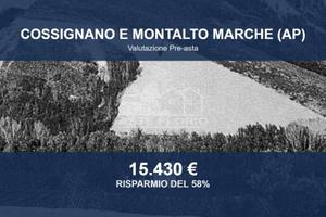 Immobile in asta di 29510 m² a Cossignano