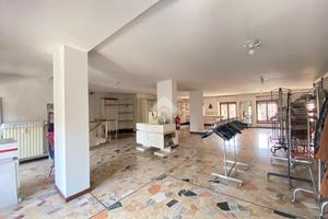 NEGOZIO A TORRE BOLDONE