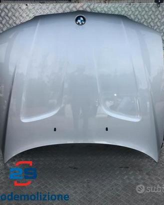 COFANO ANTERIORE BMW X3 E83 (03-06) (06-10)