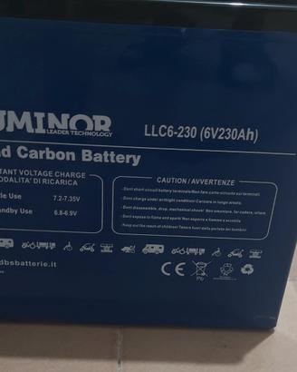 AGM Batterie Lead Carbon Luminor LLC6-230