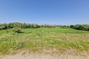 Terreno Agricolo zona Acciarella