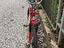 Immagine 2