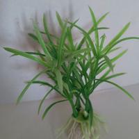 Lotto Piante finte acquario – effetto prato verde