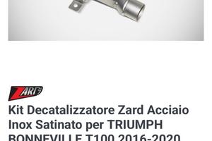 Triumph decatalizzatore