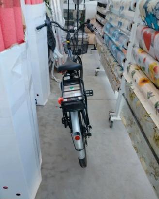 bicicletta elettrica 