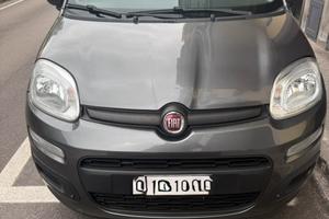 Fiat Panda III 1.2 69cv S&S Easy Euro 6d-Temp