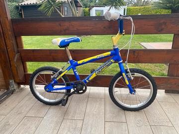 Bici bambino 4-6 anni