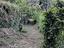Immagine 19