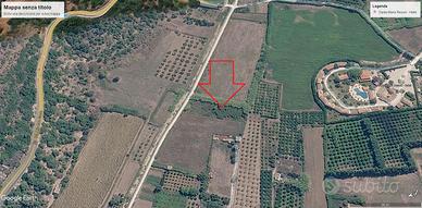 terreno agricolo