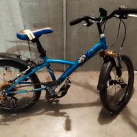 Tris di Bici bambino , donna e uomo 