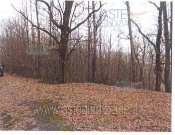 Terreno Agricolo Arcidosso [A1462132]