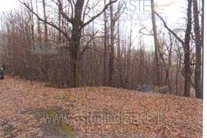 Terreno Agricolo Arcidosso [A1462132]