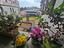 Immagine 14