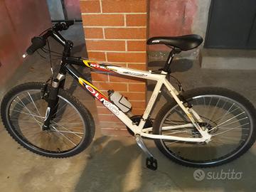 bicicletta 