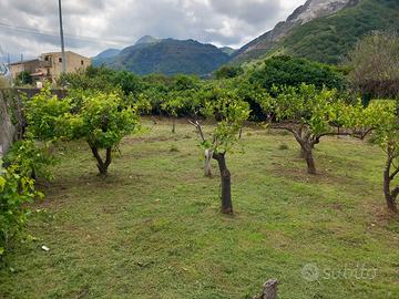 Terreno fronte strada