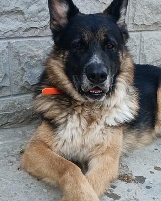 mi chiamo Elio
