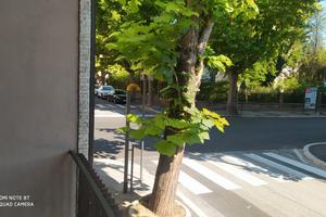 Appartamento in centro primo piano con balcone