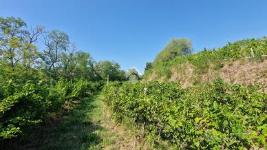 TER. AGRICOLO A CAVRIANA