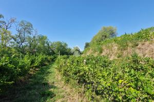 TER. AGRICOLO A CAVRIANA