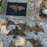 Articoli da caccia anni 90