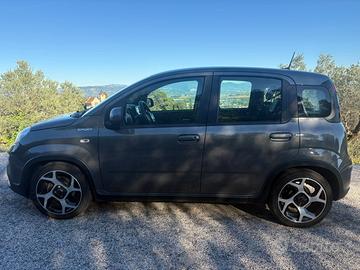Panda hybrid sport