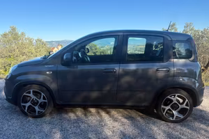 Panda hybrid sport